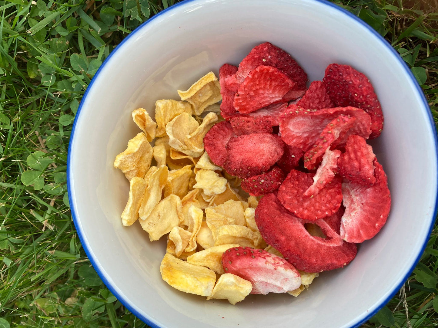 Ekologisk Strawberry Snack 50g